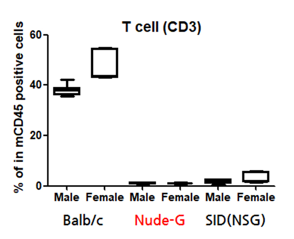 T cell (CD3)