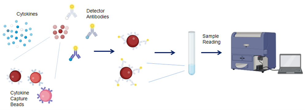 Cytometric Beads Array