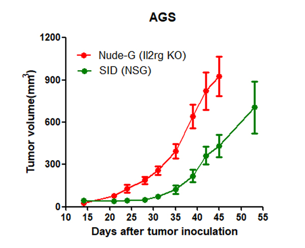 AGS (gastric cancer cell line)